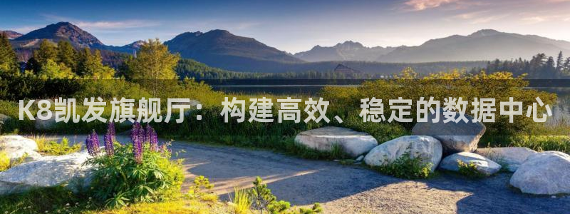 乐天堂fun体育注册平台：K8凯发旗舰厅：构建高效、稳定的数据中心