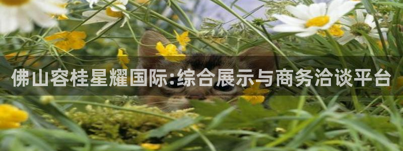 乐天堂fun4开户：佛山容桂星耀国际:综合展示与商务洽谈平台