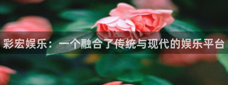 乐天堂fun3官网：彩宏娱乐：一个融合了传统与现代的娱乐平台
