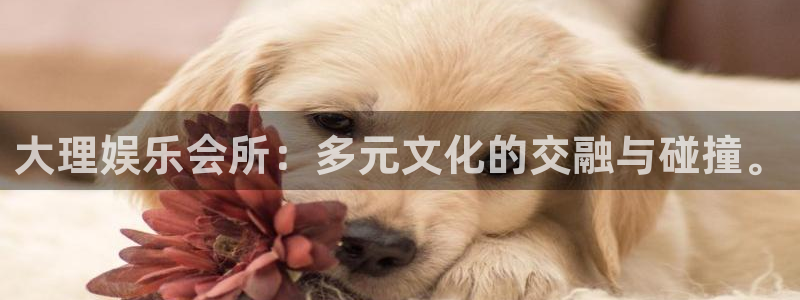 乐天堂fun体育老板是谁：大理娱乐会所：多元文化的交融与碰撞。