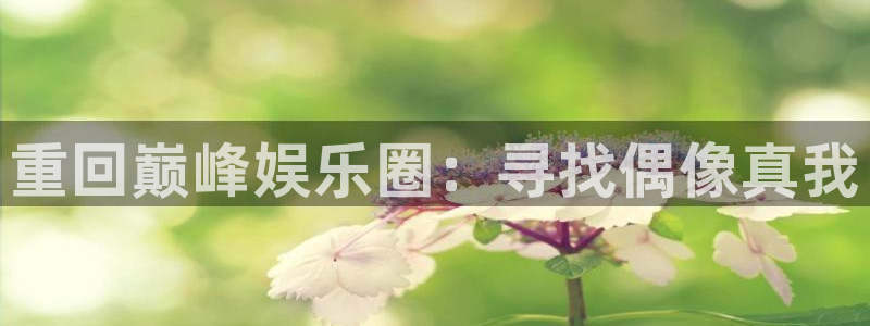 乐天堂fun体育注册平台：重回巅峰娱乐圈：寻找偶像真我