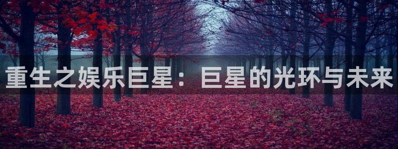 乐天堂fun2登录地址：重生之娱乐巨星：巨星的光环与未来