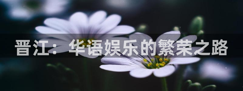 乐天堂fun平台招商：晋江：华语娱乐的繁荣之路