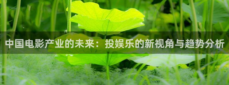 乐天堂fun体育用品：中国电影产业的未来：投娱乐的新视角与趋势分析