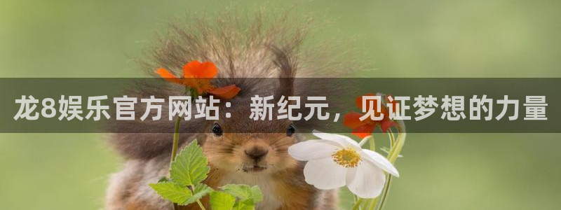 乐天堂fun体育3在线注册：龙8娱乐官方网站：新纪元，见证梦想的力量