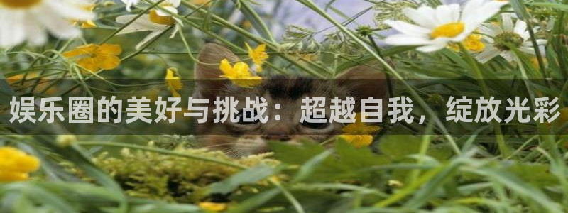 乐天堂fun平台：娱乐圈的美好与挑战：超越自我，绽放光彩