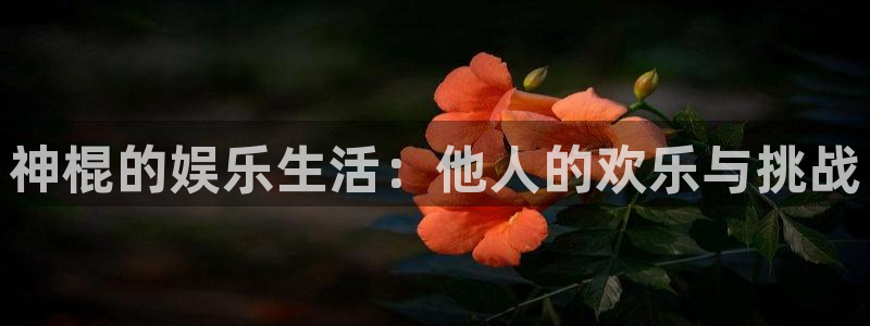 乐天堂fun体育凯捷平台招商：神棍的娱乐生活：他人的欢乐与挑战