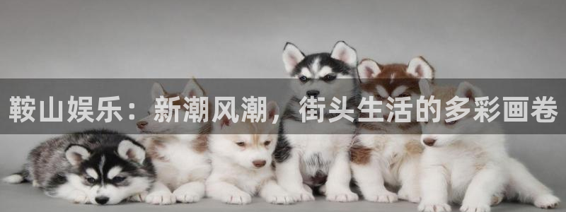 乐天堂fun2体育：鞍山娱乐：新潮风潮，街头生活的多彩画卷