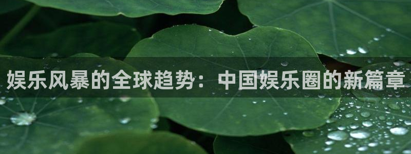 乐天堂fun4：娱乐风暴的全球趋势：中国娱乐圈的新篇章