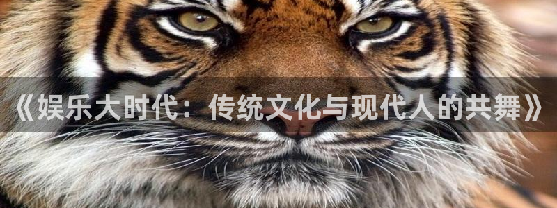 乐天堂fun2平台登录：《娱乐大时代：传统文化与现代人的共舞》
